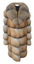 Load image into Gallery viewer, 2025-2026 Fall Winter collection Golden Fox with English collar