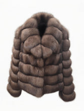 Load image into Gallery viewer, Barguzin Sable with English collar