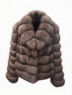 Barguzin Sable with English collar