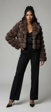 Load image into Gallery viewer, Barguzin Sable with English collar