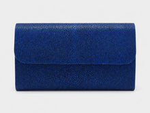 Load image into Gallery viewer, Shagreen clutch