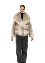 Load image into Gallery viewer, 2025-2026 Fall Winter collection Horizontal cut Lynx with English collar