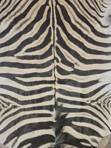 Zebra skis trophy grade